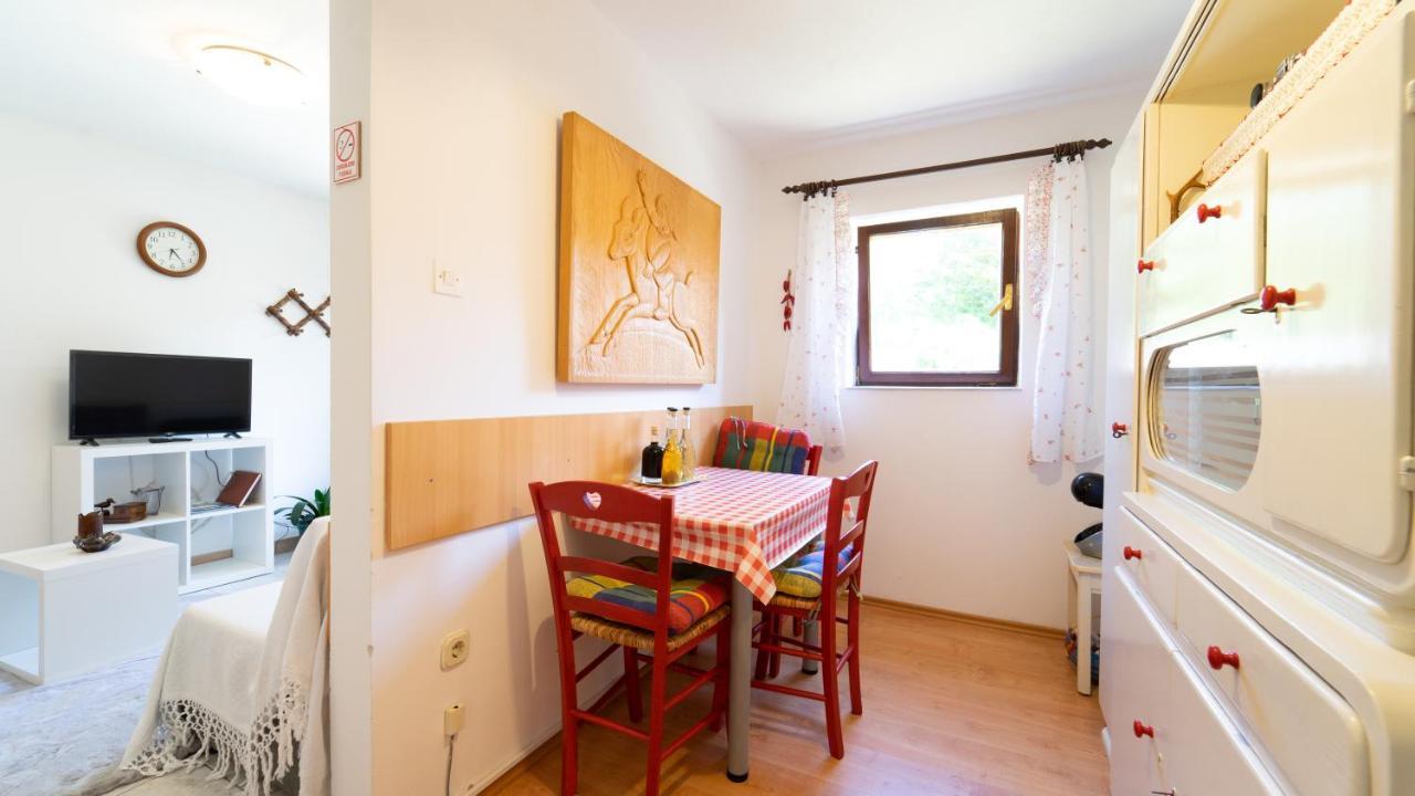 Karolina Apartment Fužine Exterior foto